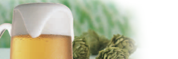 スペシャルメニュー