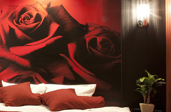 HOTEL ALFA -STANDARD ROOM 401