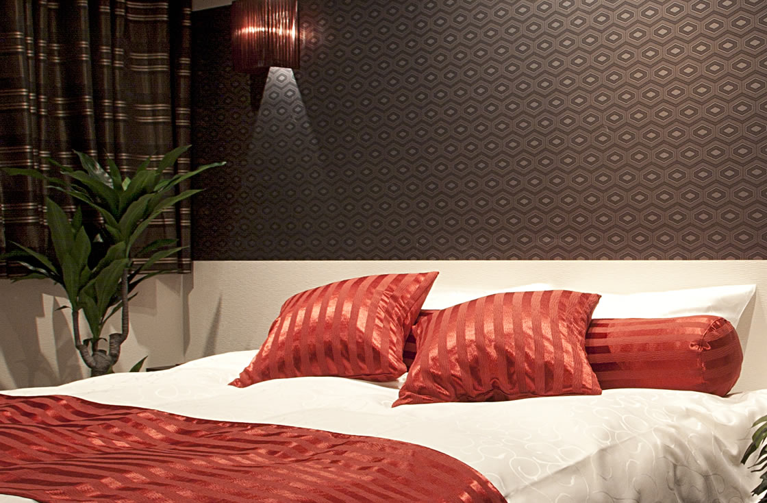 HOTEL ALFA -STANDARD ROOM 201