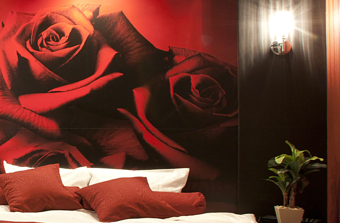 HOTEL ALFA -STANDARD ROOM 401