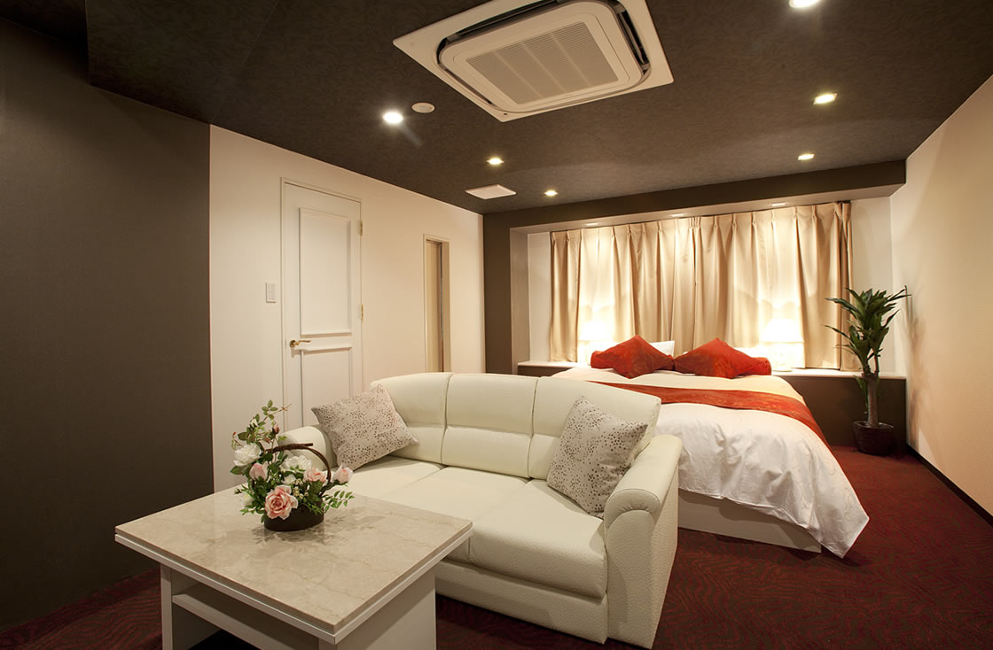 HOTEL ALFA -STANDARD ROOM 101