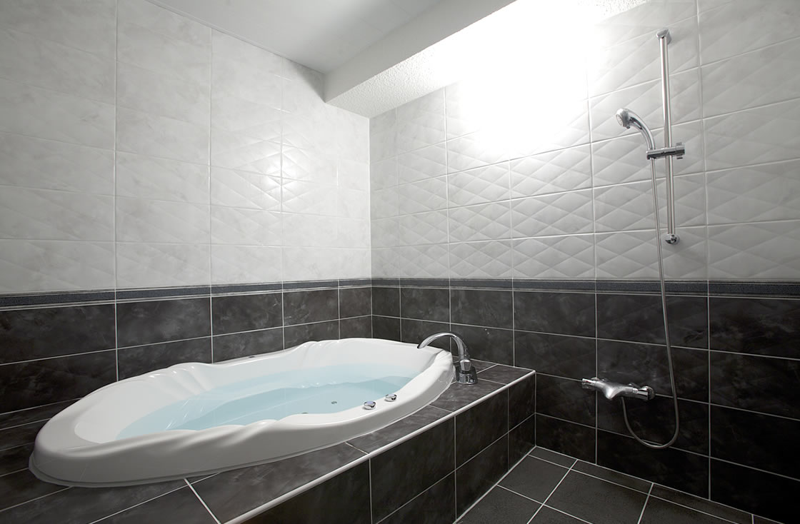 HOTEL ALFA -STANDARD ROOM 101