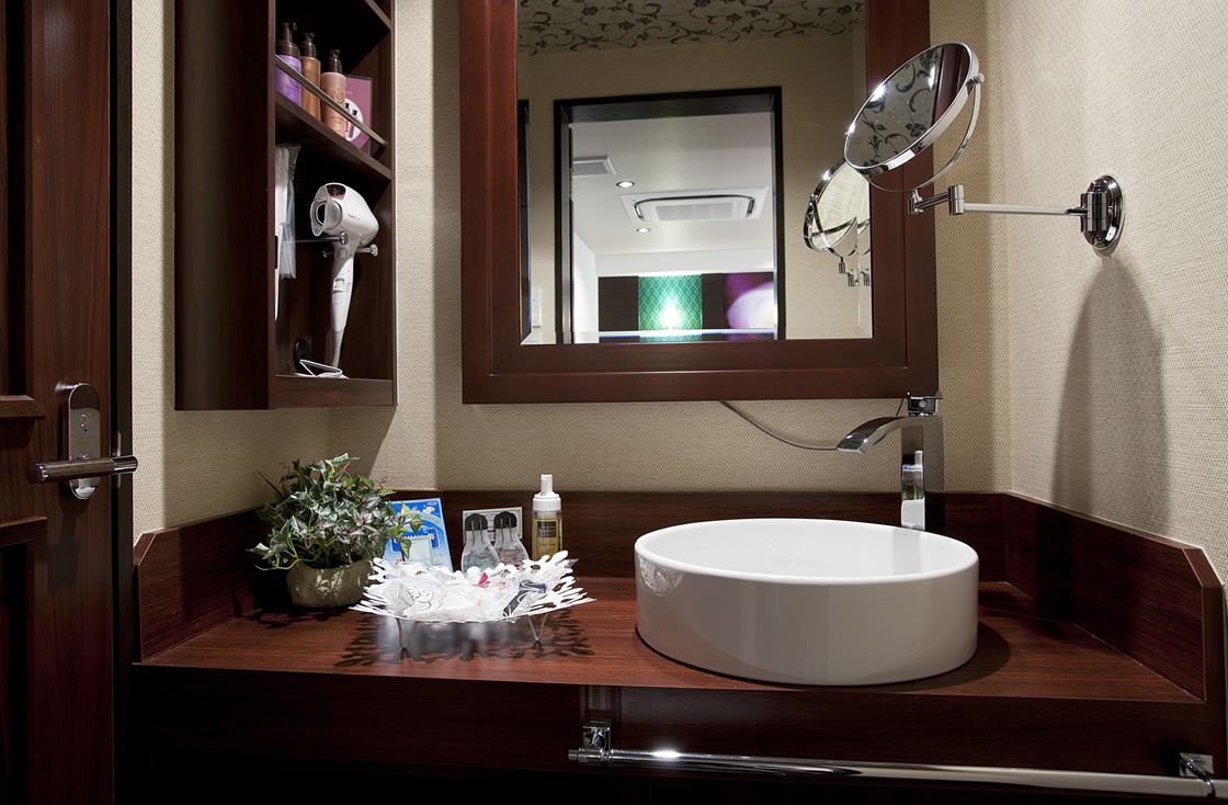 HOTEL ALFA -STANDARD ROOM 102