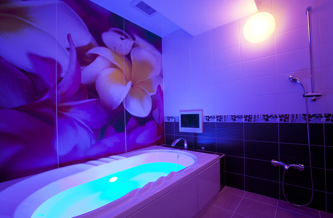 HOTEL ALFA -STANDARD ROOM 102