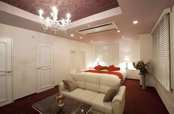 HOTEL ALFA -STANDARD ROOM 410