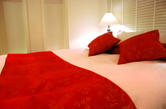 HOTEL ALFA -STANDARD ROOM 410