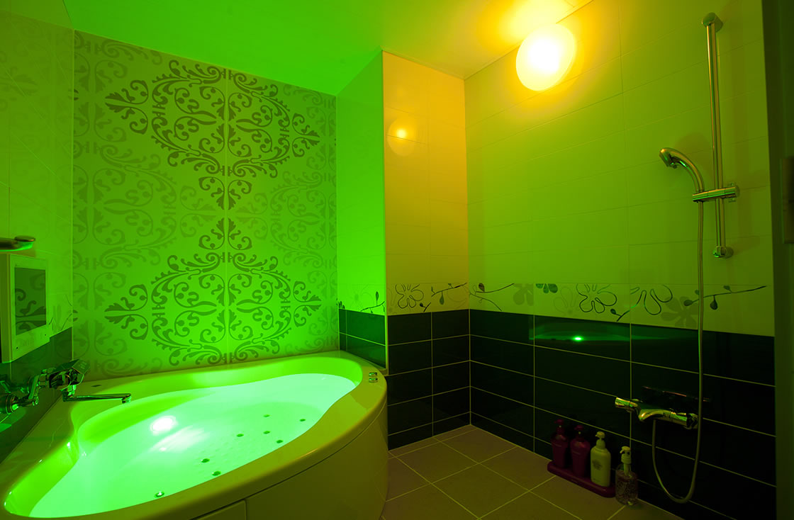 HOTEL ALFA -STANDARD ROOM 207