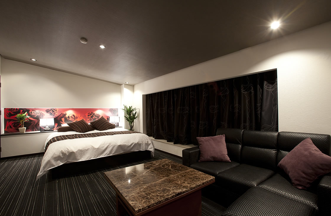 HOTEL ALFA -STANDARD ROOM 208