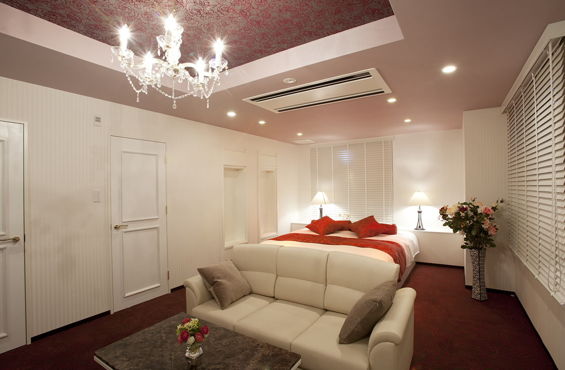 HOTEL ALFA -STANDARD ROOM 410