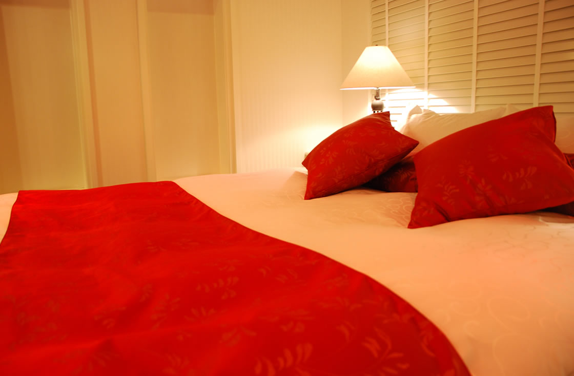 HOTEL ALFA -STANDARD ROOM 410